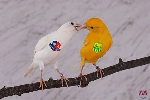 Un petit coup de Bammou