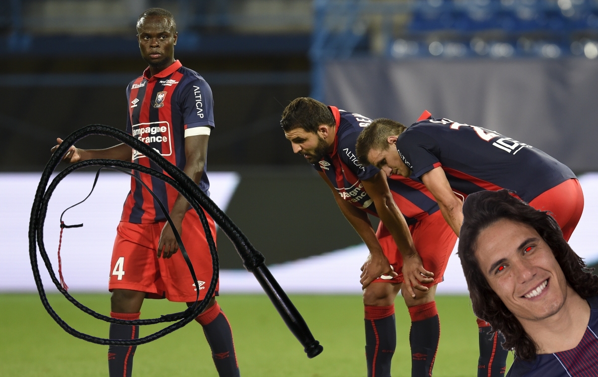 La vie est une chienne