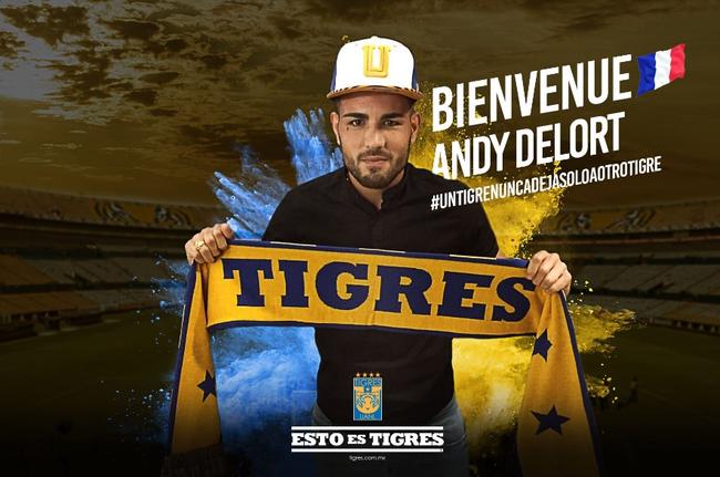 Reviens en Ligue 1 Andy Delort !