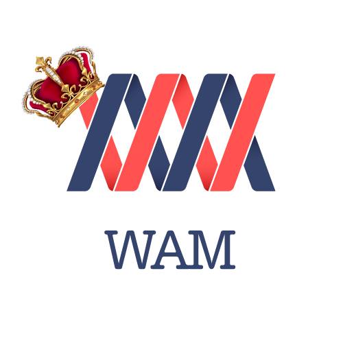 Gouvernance du SM Caen : We Are Malherbe présente son projet