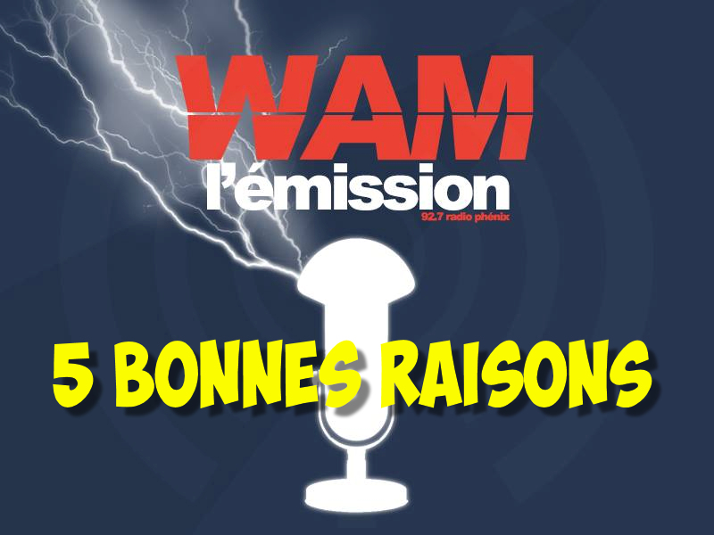 5 bonnes raisons d’écouter WAM l’émission