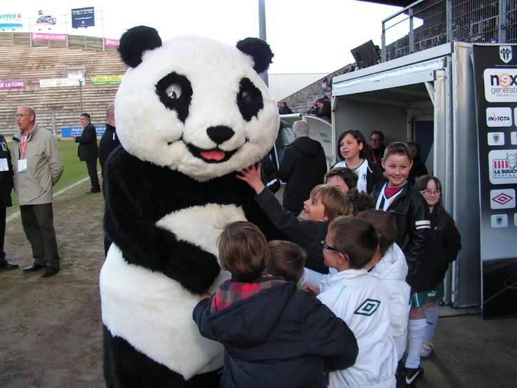 Scotty, la mascotte d’Angers, pète les plombs !