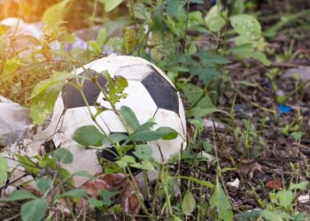 La banalité du Malherbe