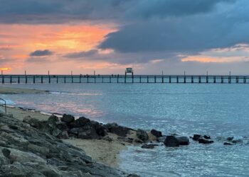 Été 2024 : l’agenda des sorties de WAM