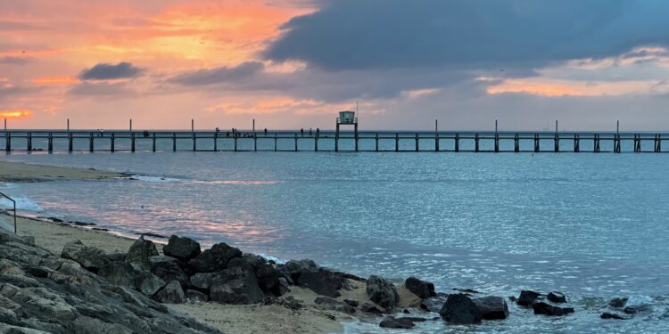 Été 2024 : l’agenda des sorties de WAM