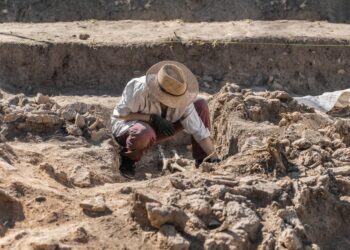 Des archéologues retrouvent des ossements de supporters du SM Caen ayant connu le bonheur