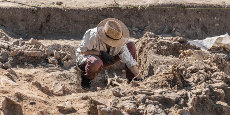 Des archéologues retrouvent des ossements de supporters du SM Caen ayant connu le bonheur